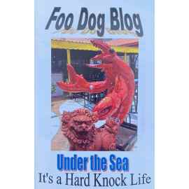 This Under the Sea: It's a Hard Knock Life (Foo Dog Blog Mini Book) is made with love by Victoria J. Hyla/Victoria Hyla Maldonado! Shop more unique gift ideas today with Spots Initiatives, the best way to support creators.
